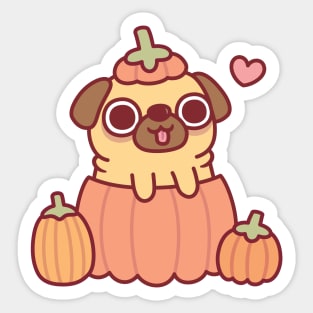 Cute Pug In Pumpkin Funny Thanksgiving Sticker